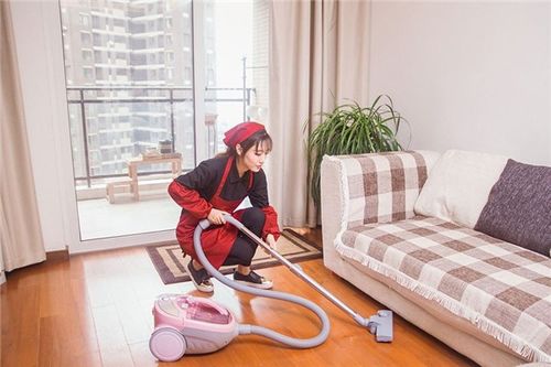 甘肅匯通博納室內開荒保潔工程 專業(yè)清潔與除四害服務詳解